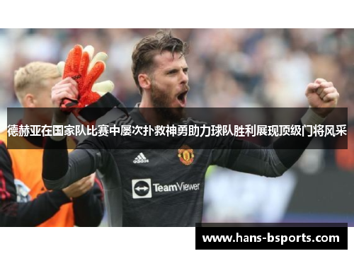 德赫亚在国家队比赛中屡次扑救神勇助力球队胜利展现顶级门将风采