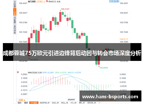 成都蓉城75万欧元引进边锋背后动因与转会市场深度分析