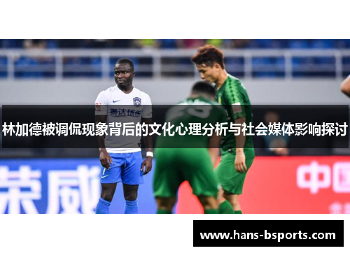 林加德被调侃现象背后的文化心理分析与社会媒体影响探讨